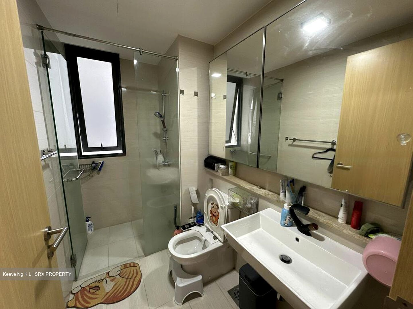 Boathouse Residences (D19), Condominium #474916571